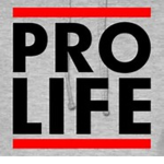 The Pro Army