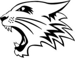 willd cats