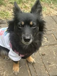 Tiny’s clothing Group Thumbnail