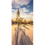 [S:U ] Snow in Daylight