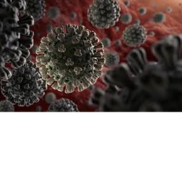 CORONAVIRUS obby