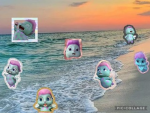 The Cms Clan