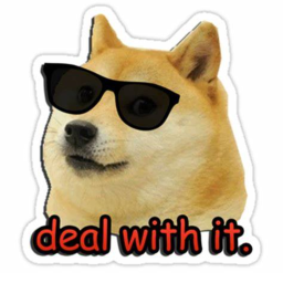 doge raiders joining place