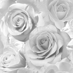 sxnny flowers
