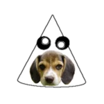 Cone of Shame