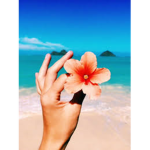 •Tropical Sea•