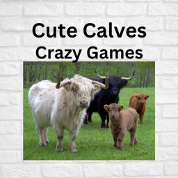 Crazy Games