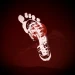 Finding Bigfoot - Remake icon