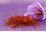 Saffron Squad