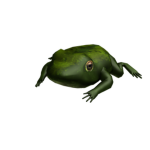Frog Bush Cult