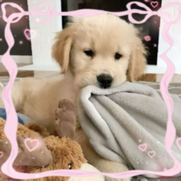 ♡