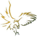 FlyEagle ™