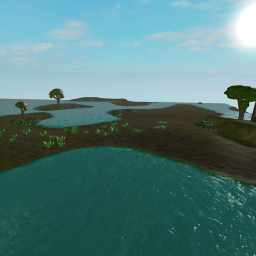 The Swamp