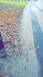 Roxyisbest23