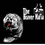 beavers mafia