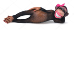 bob gives