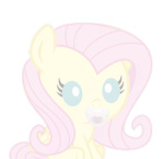 /pony
