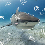 !! The sharks!