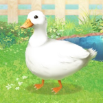 Fellow Ducks' Community