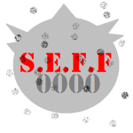 S.E.F.F (Super Elite Fightng Force)