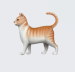 +*The Cat Clique*+