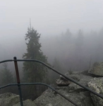 Ｌｏｓｔ－ｉｎ－ｐｉｎｅ