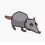 *+Rats+*