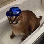 beans beans212