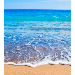 beach tycoon