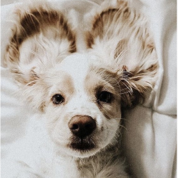♡