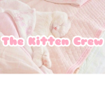 -the kitten crew!-