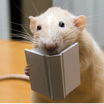 RAT REUNITE