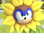 Bee and flowers