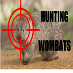 Hunting_Wombats