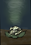 Cauliflower Cult