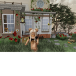 Dior_x