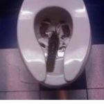 Constipation cult