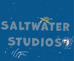 Salt studos