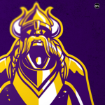 ®NFL® | Minnesota Vikings Football™