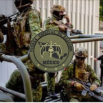 Fuerza Especial De Reacción (F.E.R)