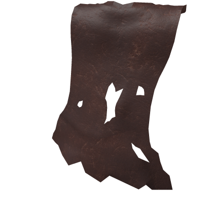 Wanderer's Cape