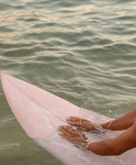 * soph's surf shack *