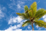~Coco Clouds~