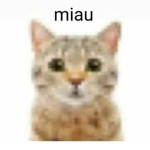 Æsir Λ