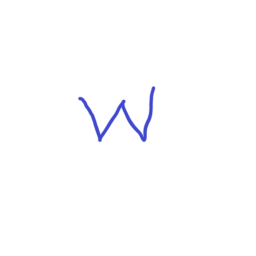 Bug W Raceing