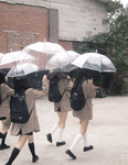 Anime anime life