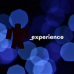 _experience