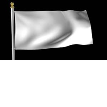 flag toy addition not any updates XD