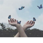 .+*~ Butterfly Squad ~*+.