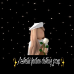 Aesthetic*fashion